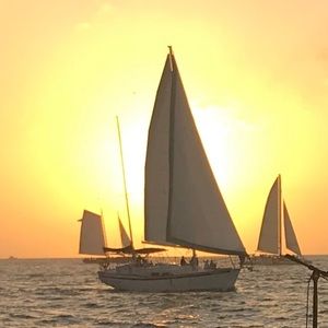 Meet your Posher, Rusty